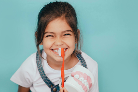 smiling little girl with brown hair holding orange toothbrush and teeth replica